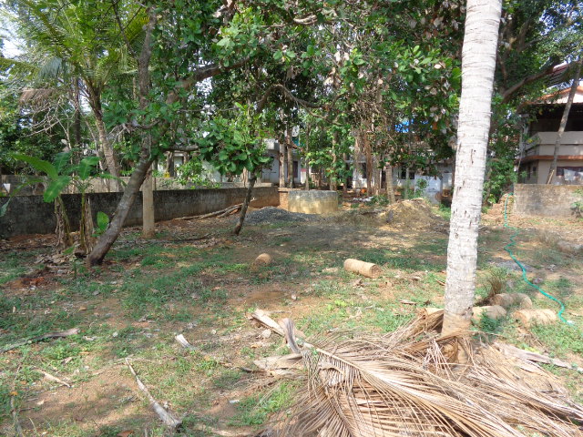 10 cent plot (ID 3425) for sale near Hill palace Tripunithura