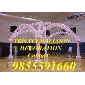 Tricity Balloon Decoration chandigarh panchkula mohali  zirkpur kharar pinjore kalka derabassi baddi shimla